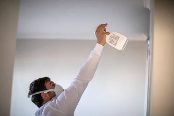 Best DIY Mold Remediation Support Services in Bardstown, KY