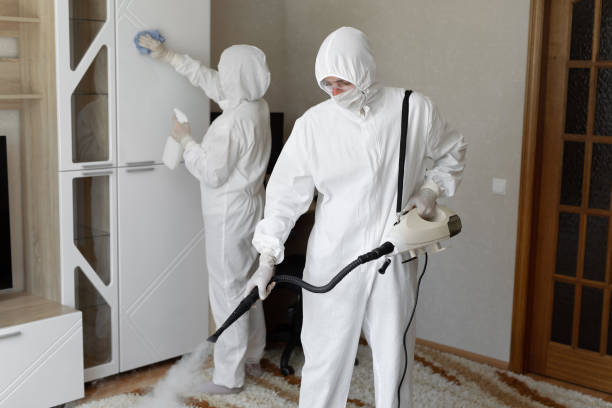 Best Post-Flood Mold Remediation in Bardstown, KY
