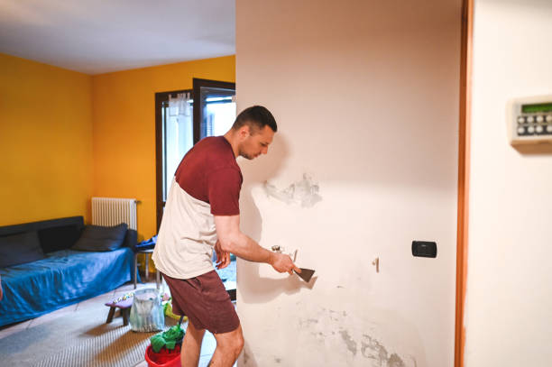 Best Residential Mold Remediation in Bardstown, KY