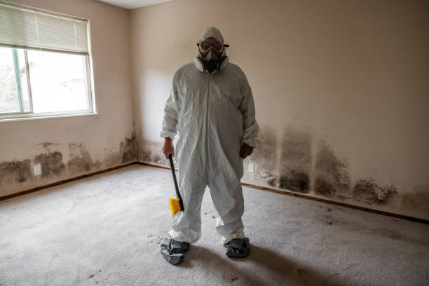 Best Bathroom Mold Remediation in Bardstown, KY